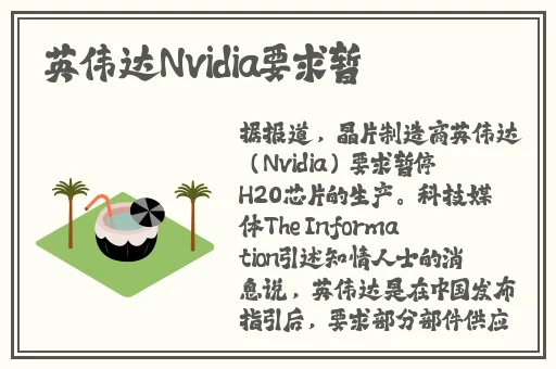 榴莲视频无线看免费下载